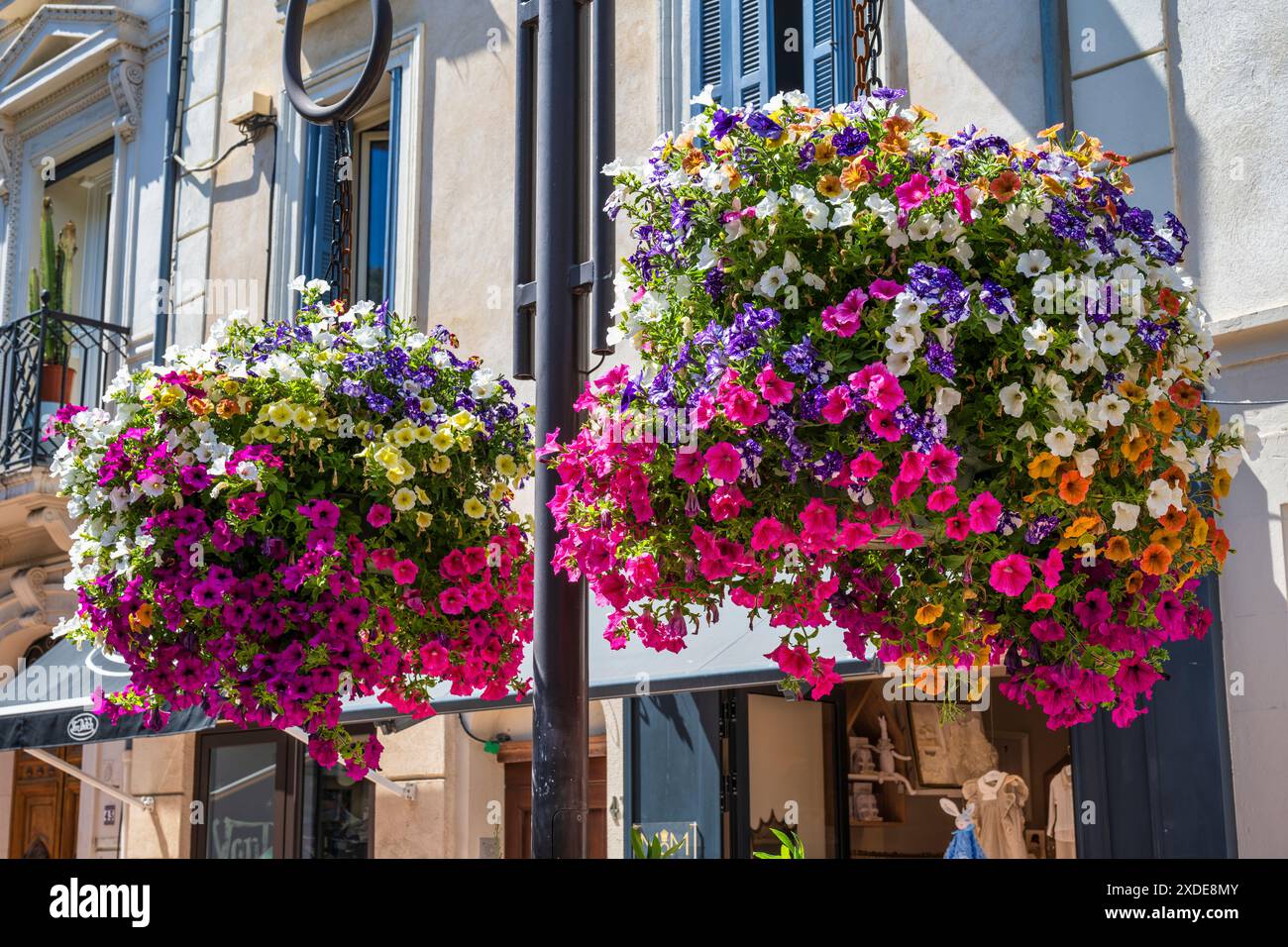 Farbenfrohe hängende Blumenkörbe auf der Rue de la République in der Altstadt von Antibes (Vieil Antibes) an der französischen Riviera, Côte d'Azur, Provence, Frankreich Stockfoto