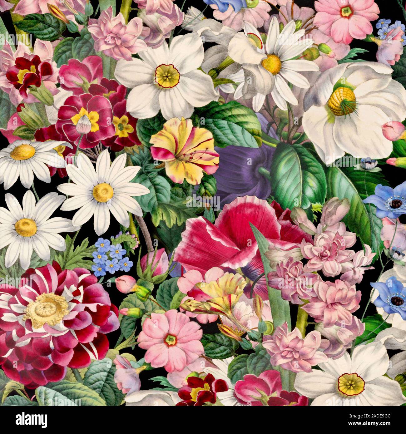 Bunte Blühende Blumen. Blumendesign. Floral Aquarell mit lebhaften Farben auf schwarzem Hintergrund. Ideal für quadratische Formate. Stockfoto