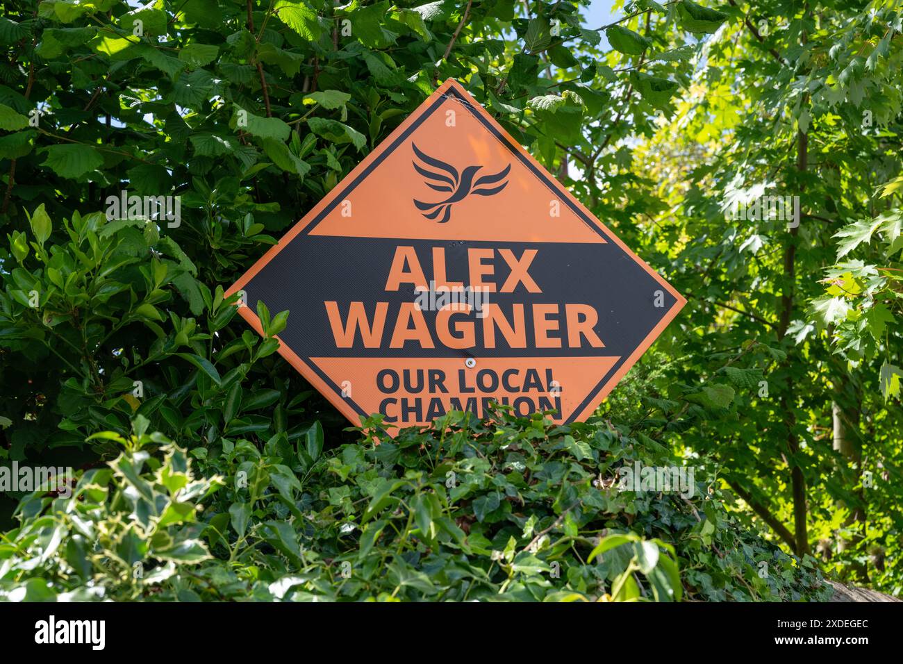 Shrewsbury, UK 22nd, Juni 2024. Sonnenschein auf politischen Plakaten, die in Häusern und Gärten in der Konsistenz von Shrewsbury während der letzten zwei Wochen des britischen Wahlkampfes ausgestellt wurden. Phil Pickin/Alamy Live News Stockfoto