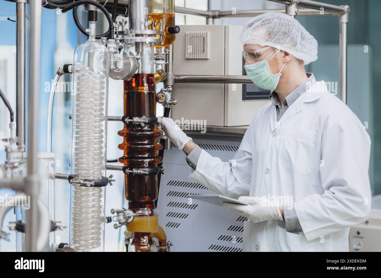 Wissenschaftler, die mit Geräten im Science Lab arbeiten. Medizinische Fabrik Personal Cannabis CBD Öl Extraktion. Verfahren für Hanföl-Dünnschichtdestillationsanlagen. Stockfoto