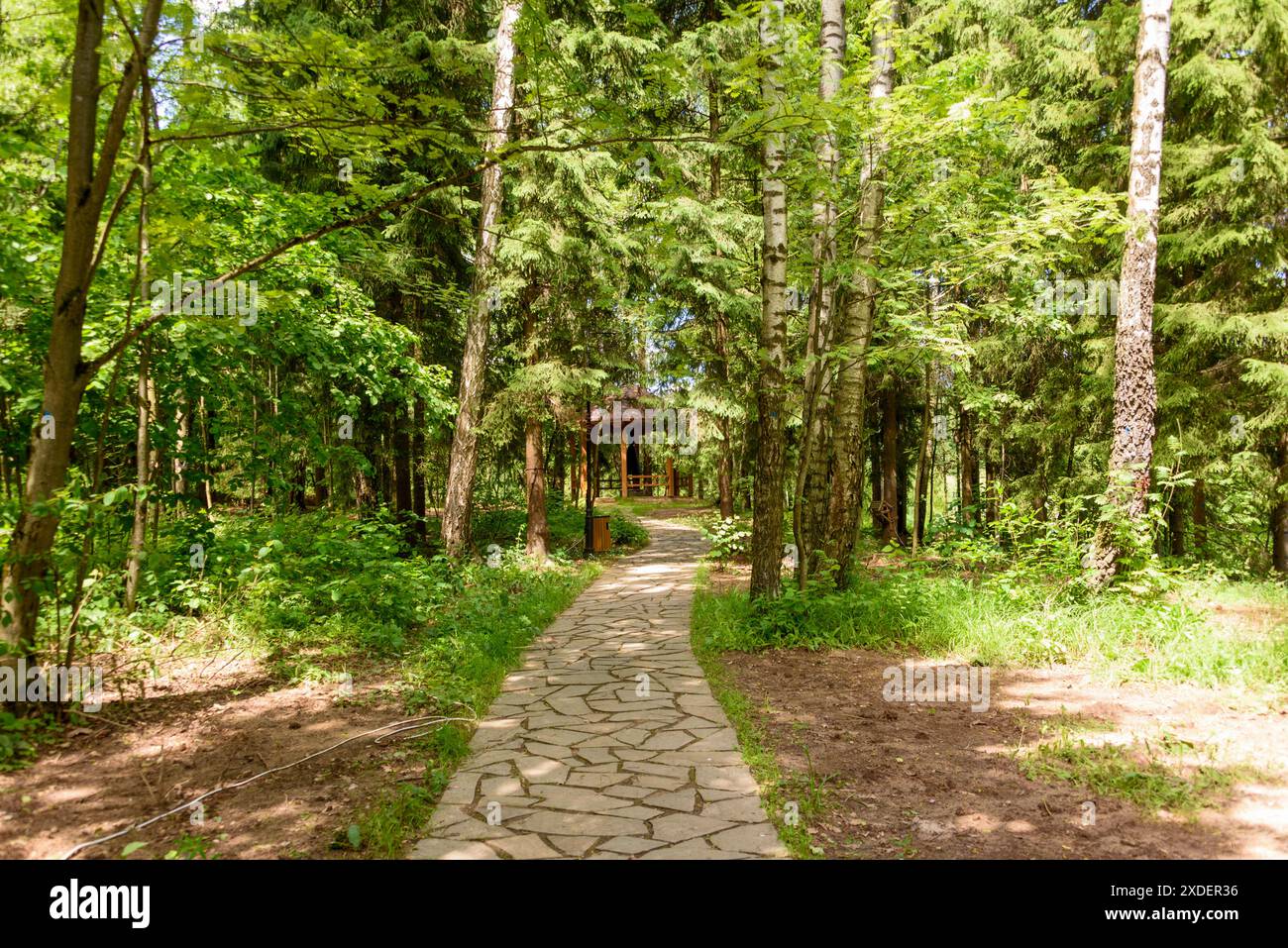 Ein Steinparkweg führt zum Pavillon. Ein Spaziergang durch den Park. Stockfoto
