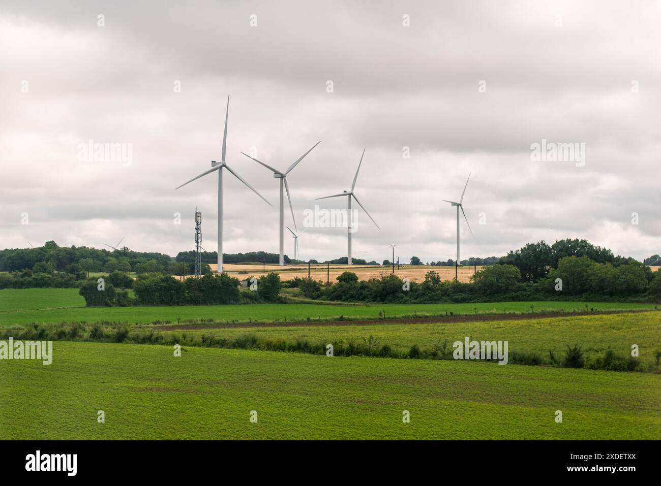 Reihe von Windturbinen auf einem Feld während des Sommers an einem bewölkten Tag Stockfoto