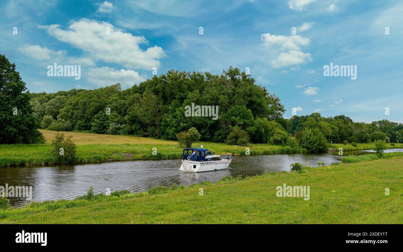 Fluss im Nationalpark Unteres Odertal, Criewen, Brandenburg Stockfoto