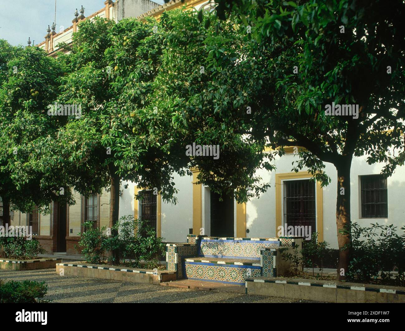 BARRIO STA CRUZ - PLAZA DONA ELVIRA - BANCO ENRE NARAN. Lage: AUSSEN. Sevilla. Sevilla. SPANIEN. Stockfoto