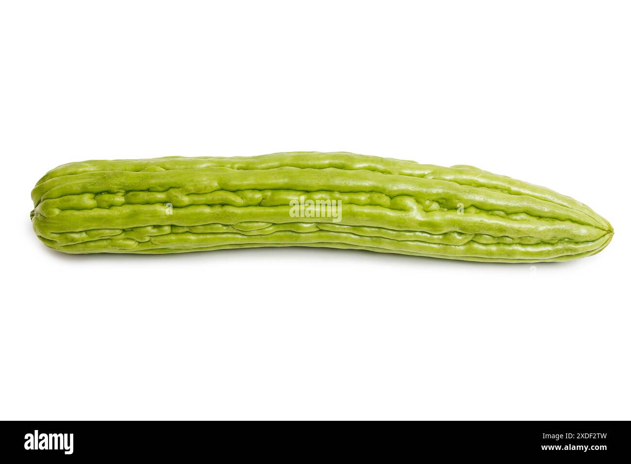 Bittere Melone, bitteres Kürbis, bittere Gurke isoliert auf weißem Hintergrund. Stockfoto