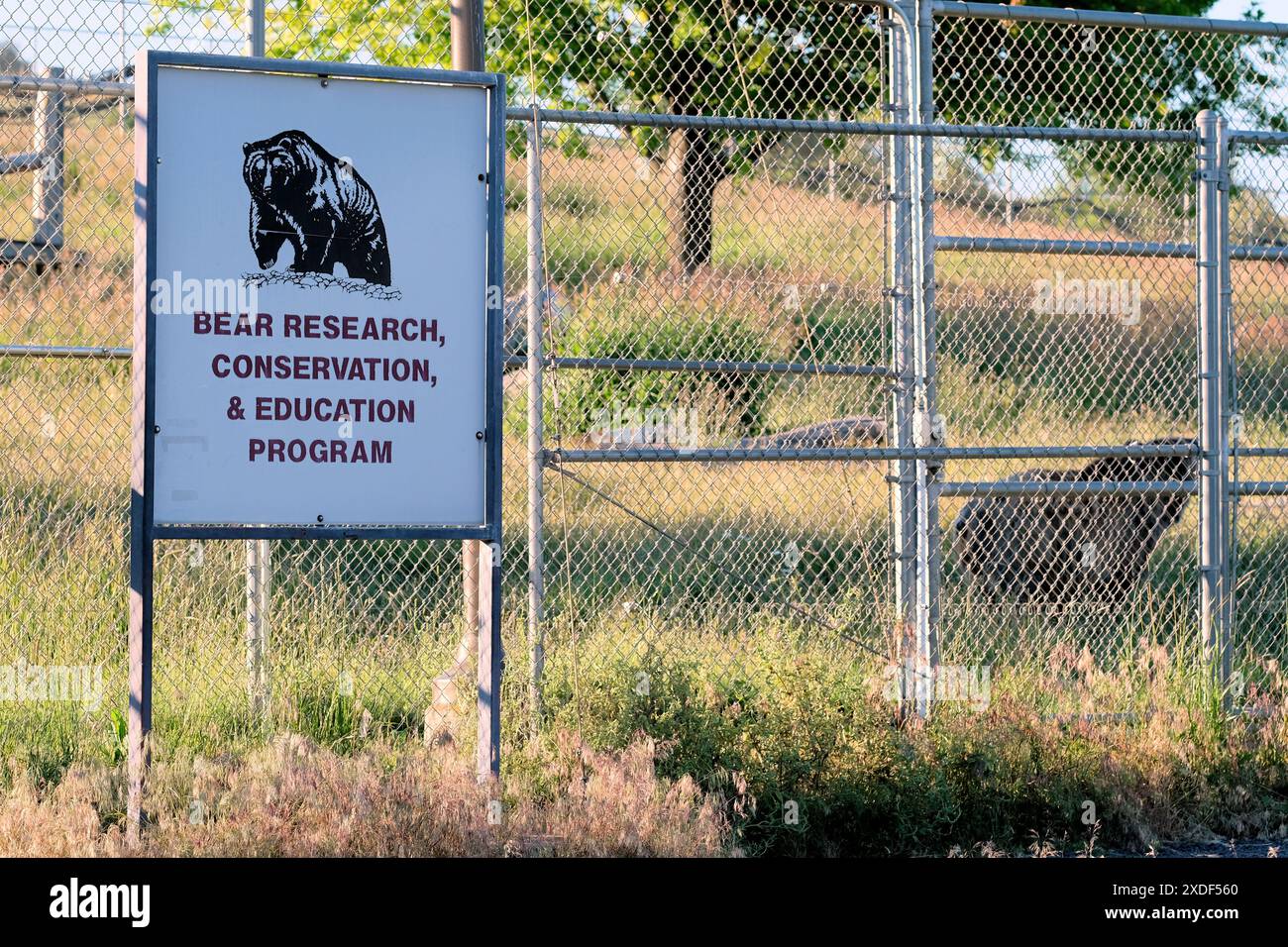 Das WSU Bear Center auf dem Campus der Washington State University in Pullman, Washington; ein Bildungs-, Forschungs- und Naturschutzzentrum. Stockfoto