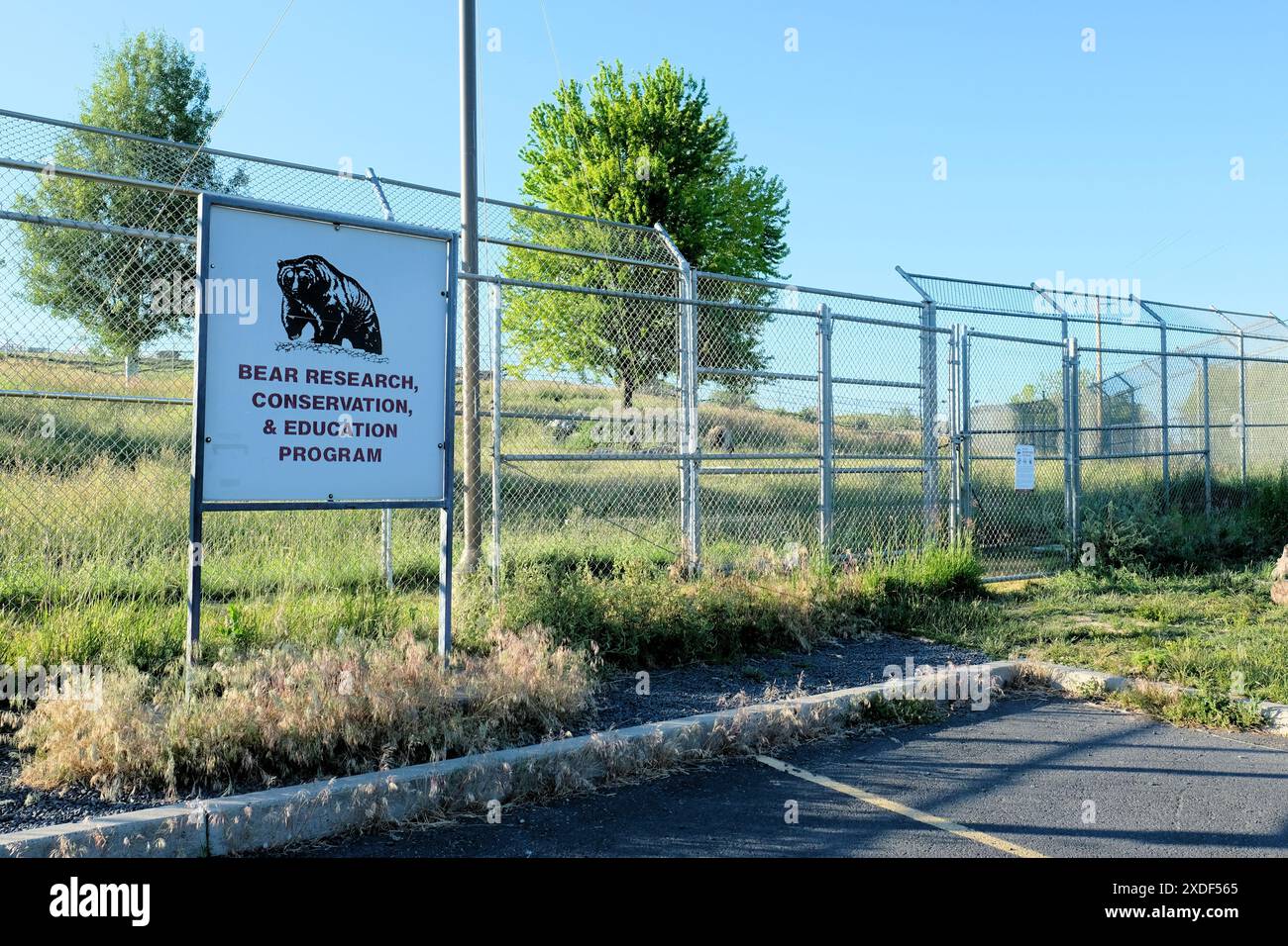 Das WSU Bear Center auf dem Campus der Washington State University in Pullman, Washington; ein Bildungs-, Forschungs- und Naturschutzzentrum. Stockfoto