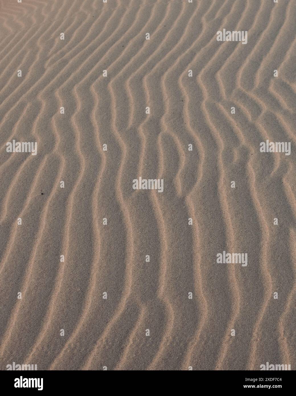 Nahaufnahme von windgeformten Sandmustern am Arher Beach, Socotra, Jemen, die die natürliche Schönheit und die komplizierten Designs der Wüstenwinde zeigen Stockfoto