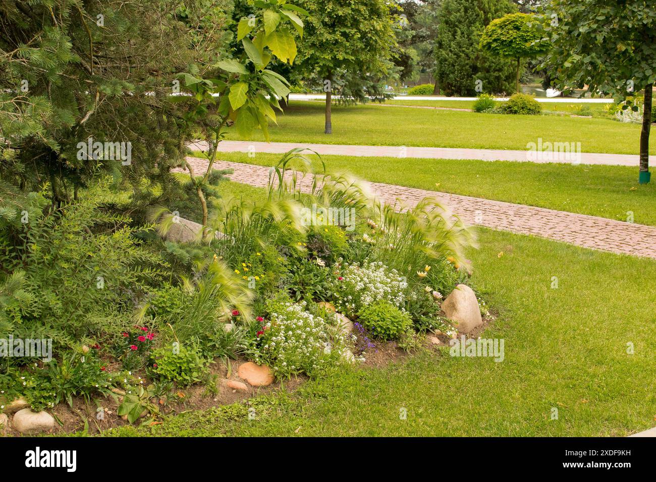 Ein schöner und gepflegter Park mit Tannen- und Blumenpfaden. Hochwertige Fotos Stockfoto