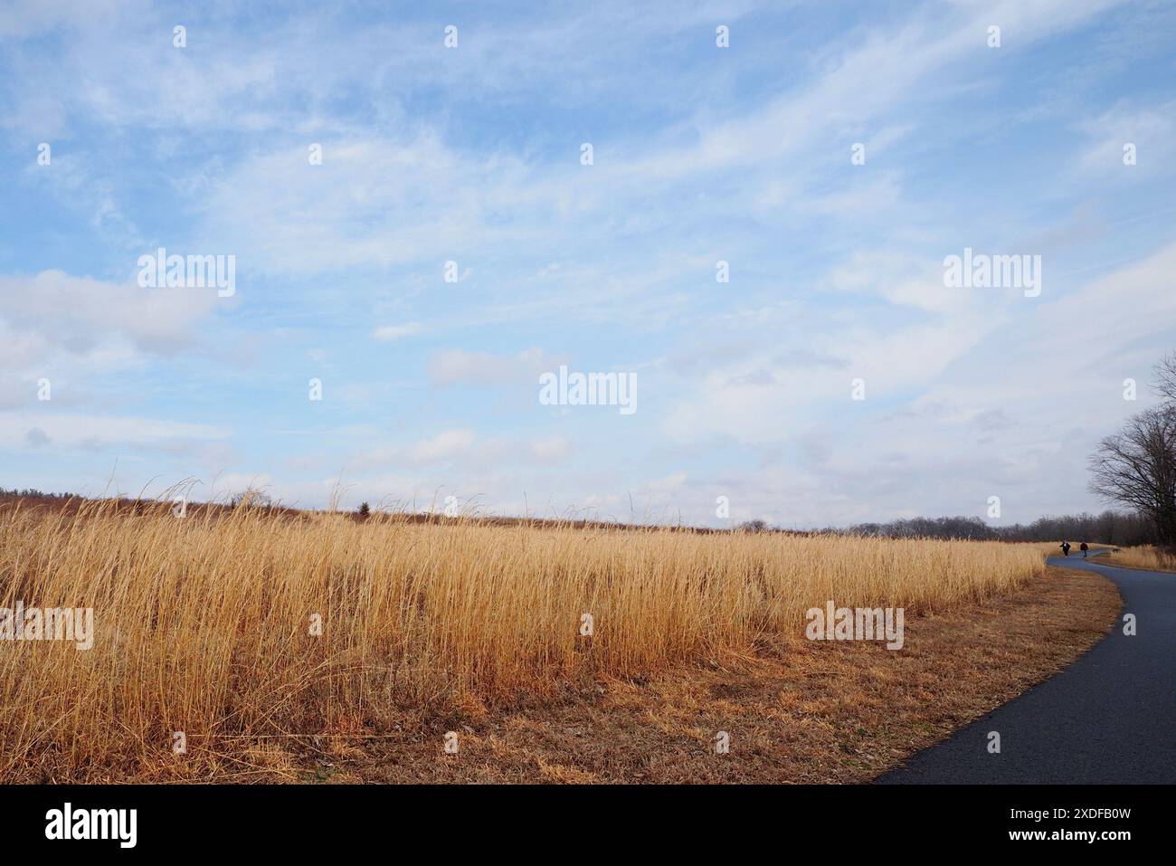 Das Feld und der Himmel bilden eine schöne Landschaft. Stockfoto