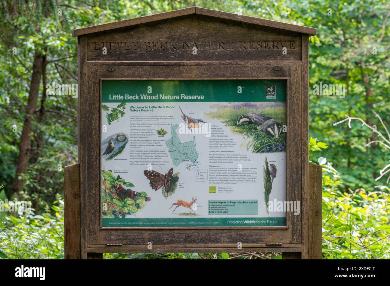 Schild und Informationstafel zum Little Beck Wood Nature Reserve, auf dem Wildtiere im Waldreservat in North Yorkshire, England, gezeigt werden Stockfoto