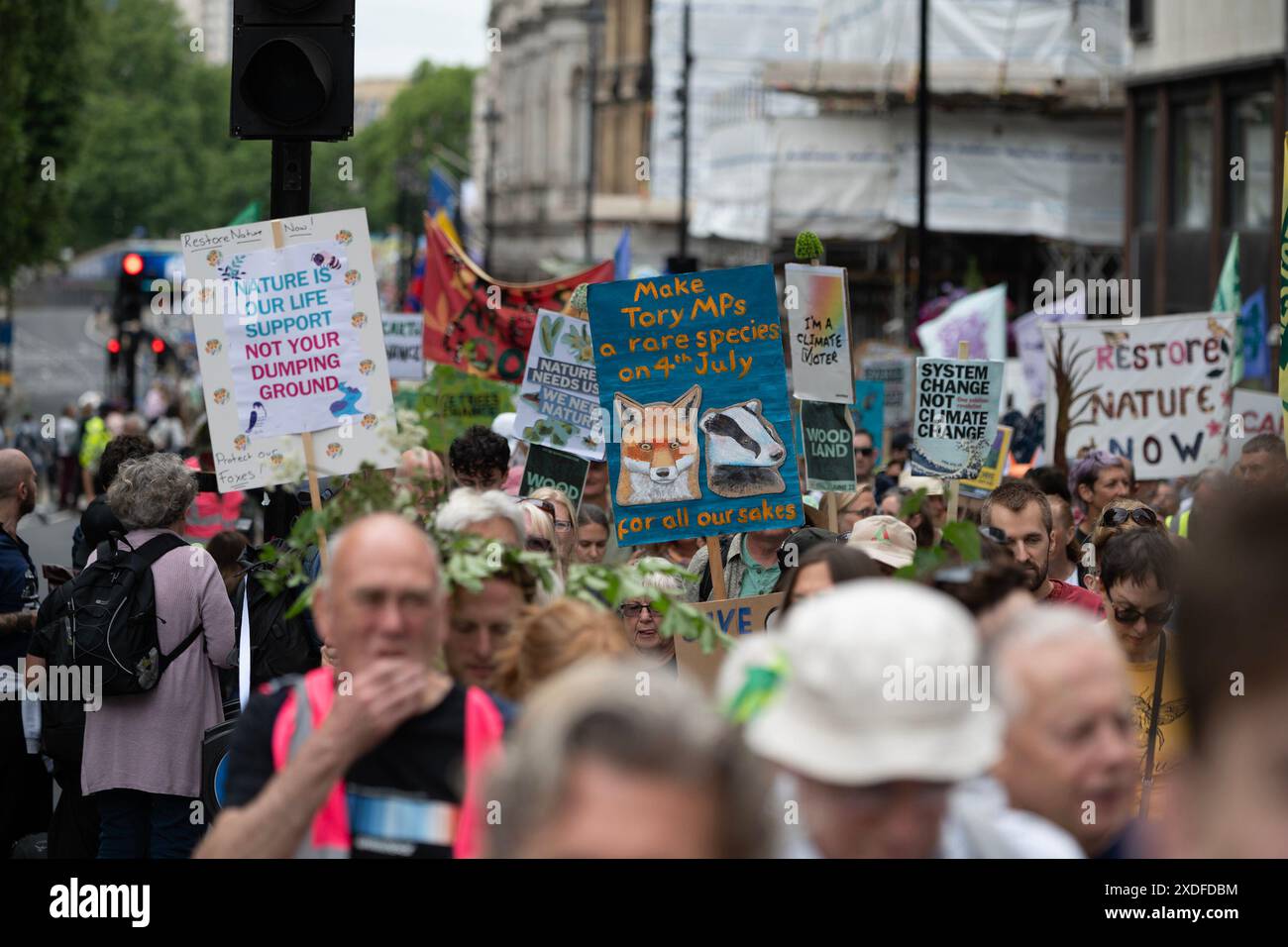 London, UK, 22. Juni 2024. Natur jetzt wiederherstellen märz. Der märz ruft zu dringenden politischen Maßnahmen in Bezug auf Natur- und Klimakrisen auf. Der marsch wird von einer vielfältigen Gruppe von Dutzenden von Tier- und Umweltorganisationen unterstützt, darunter der RSPB, die Wildlife Trusts, die Climate Coalition, der WWF-UK, der National Trust, WWT, Woodland Trust, Wildlife and Country Link, Rewilding Britain, Extinction Rebellion und Chris Packham. Kredit: A. Bennett Credit: andrew bennett/Alamy Live News Stockfoto