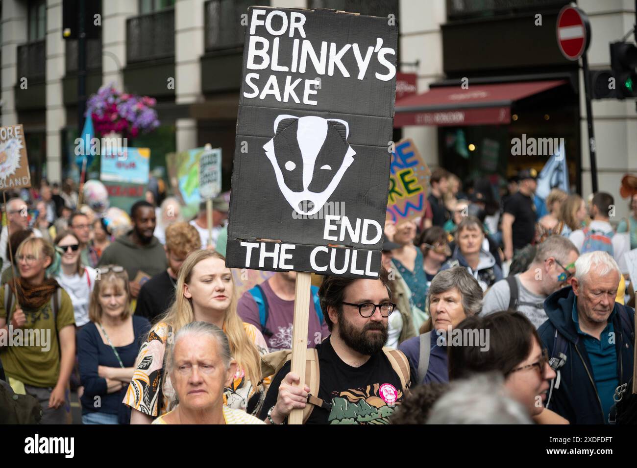 London, UK, 22. Juni 2024. Natur jetzt wiederherstellen märz. Der märz ruft zu dringenden politischen Maßnahmen in Bezug auf Natur- und Klimakrisen auf. Der marsch wird von einer vielfältigen Gruppe von Dutzenden von Tier- und Umweltorganisationen unterstützt, darunter der RSPB, die Wildlife Trusts, die Climate Coalition, der WWF-UK, der National Trust, WWT, Woodland Trust, Wildlife and Country Link, Rewilding Britain, Extinction Rebellion und Chris Packham. Kredit: A. Bennett Credit: andrew bennett/Alamy Live News Stockfoto