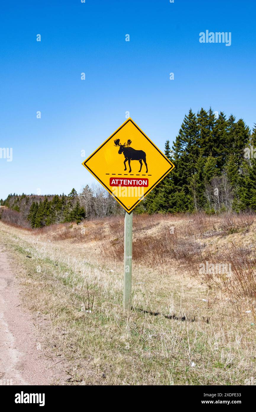 Elchwarnschild auf dem Trans Canada Highway in Aulac, New Brunswick, Kanada Stockfoto