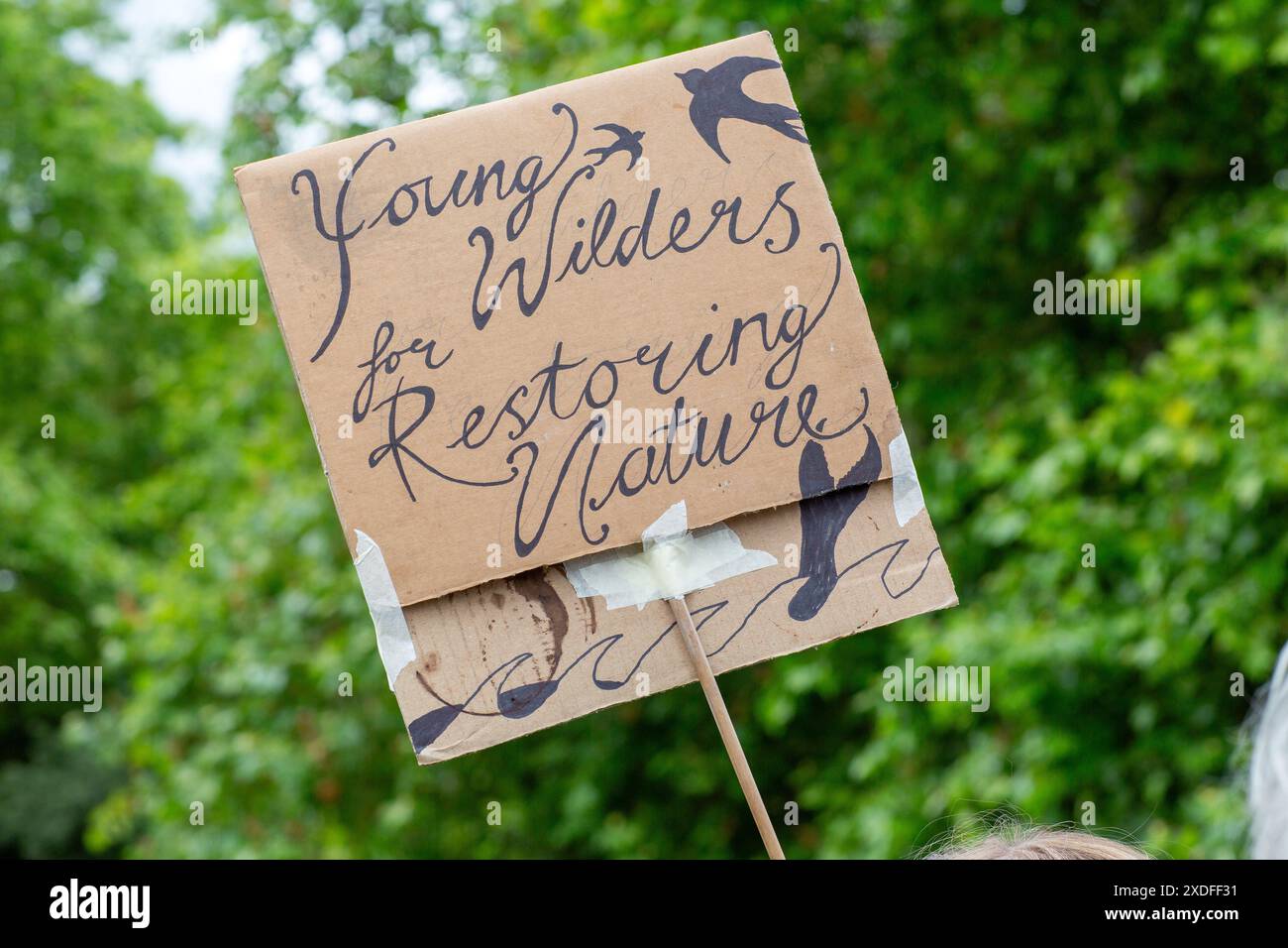 Restore Nature Now Protest am 22. Juni ,2024 in London Stockfoto