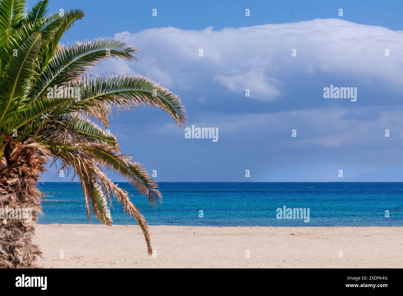 Blick auf den fantastischen Strand von Magganari und eine Palme in iOS Griechenland Stockfoto