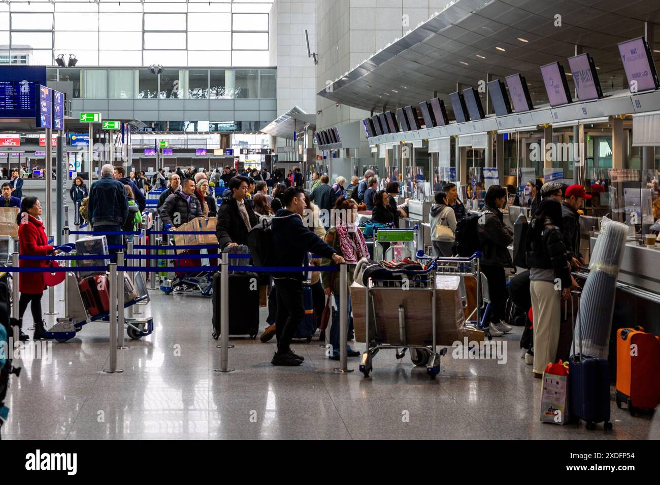 Frankfurt Airport, Deutschland - 19. Februar 2024: Das Bild zeigt einen belebten Check-in-Schalter am Flughafen, an dem zahlreiche Reisende anstehen und drängen Stockfoto