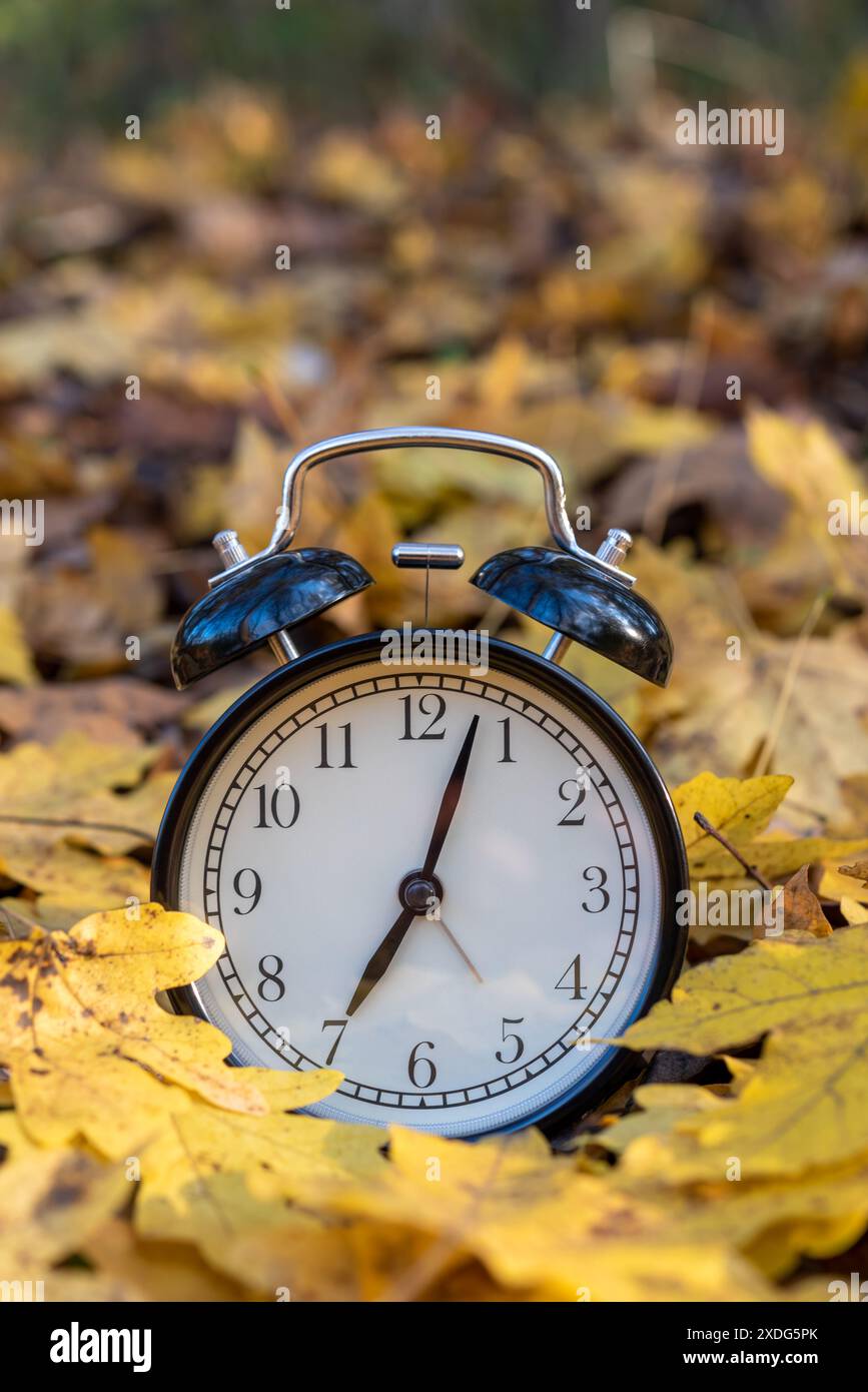 Vintage-Wecker auf gefallenen trockenen Blättern im Herbstpark mit Kopierraum für Text. Stockfoto