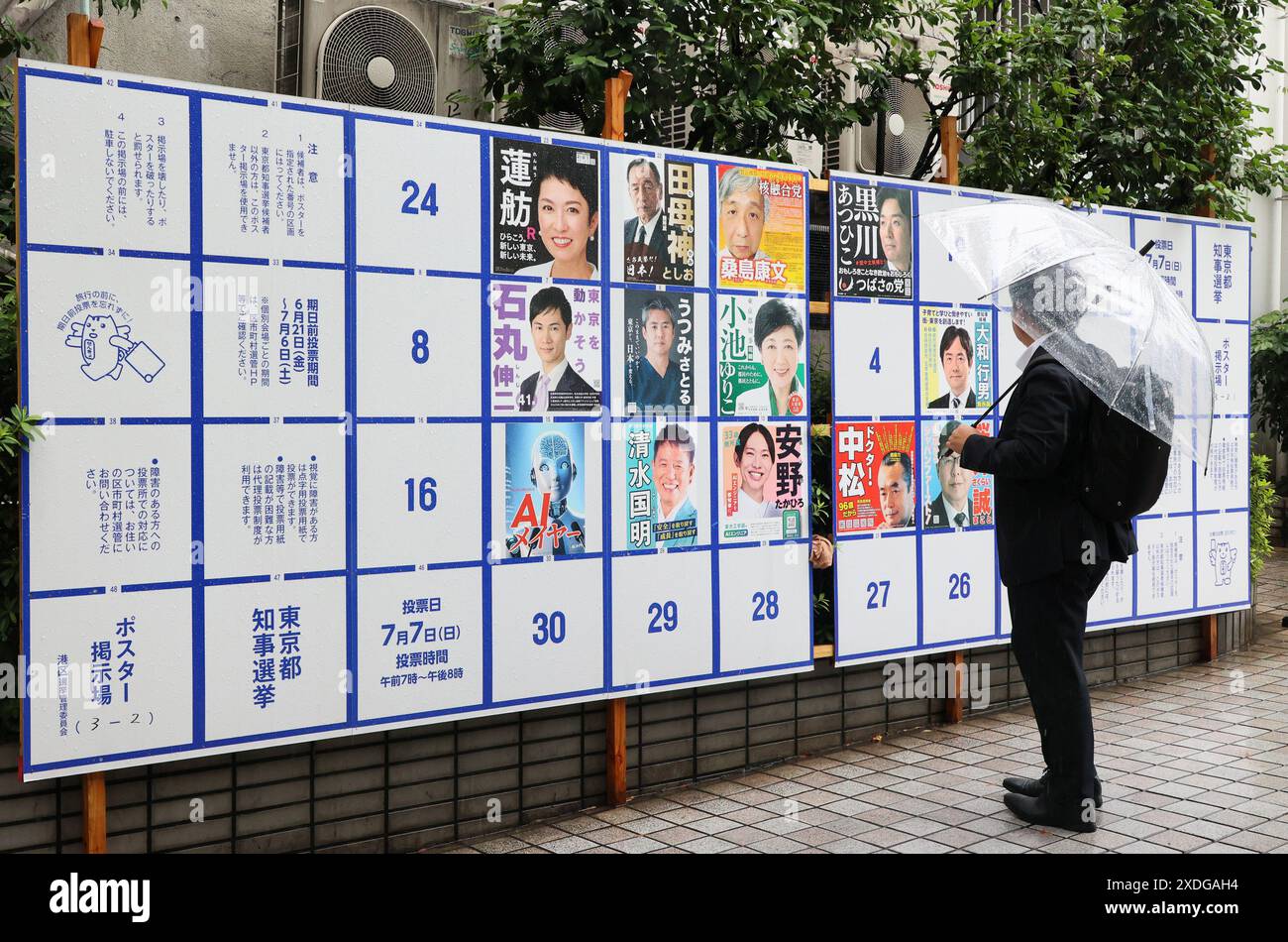 Tokio, Japan. Juni 2024. Ein Mann sieht am Freitag, den 21. Juni 2024, Plakate von Kandidaten für die Gouverneurswahl in Tokio auf einem offiziellen Wahlkampfbrett. Am 7. Juli laufen 56 Camndidates für das Tokio Govenor-Rennen. (Foto: Yoshio Tsunoda/AFLO) Stockfoto