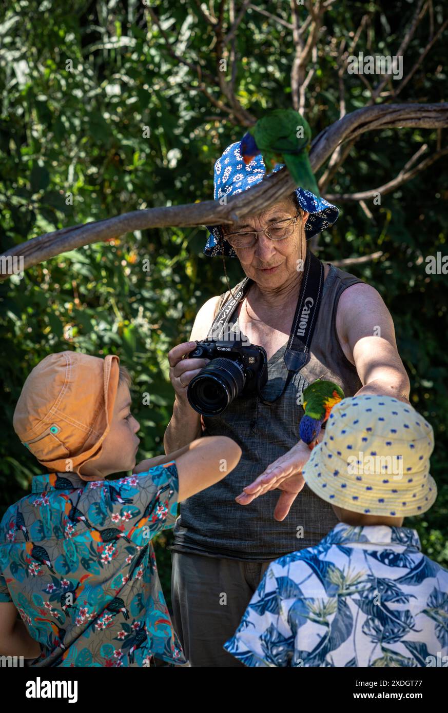 Das Foto fängt einen herzerwärmenden Moment ein, während eine Großmutter mit ihren Enkeln einen gemütlichen Spaziergang durch die Natur genießt. Stockfoto