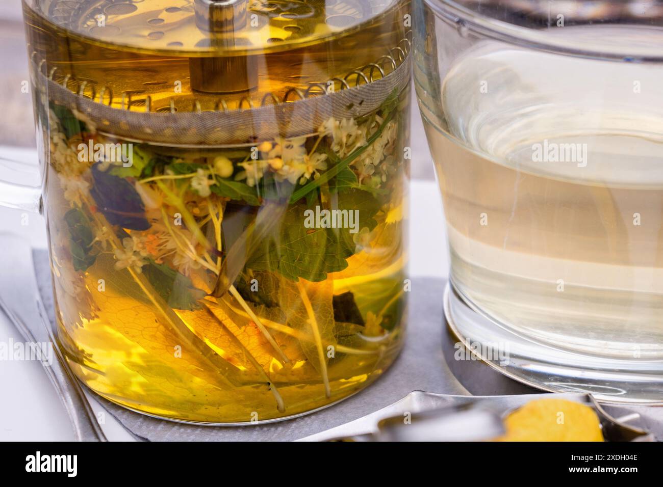 Lindentee mit Blume und Blatt in französischer Presse und im Glas, Kräuterheiltee und Hustenunterdrückungsmittel, Nahaufnahme Stockfoto