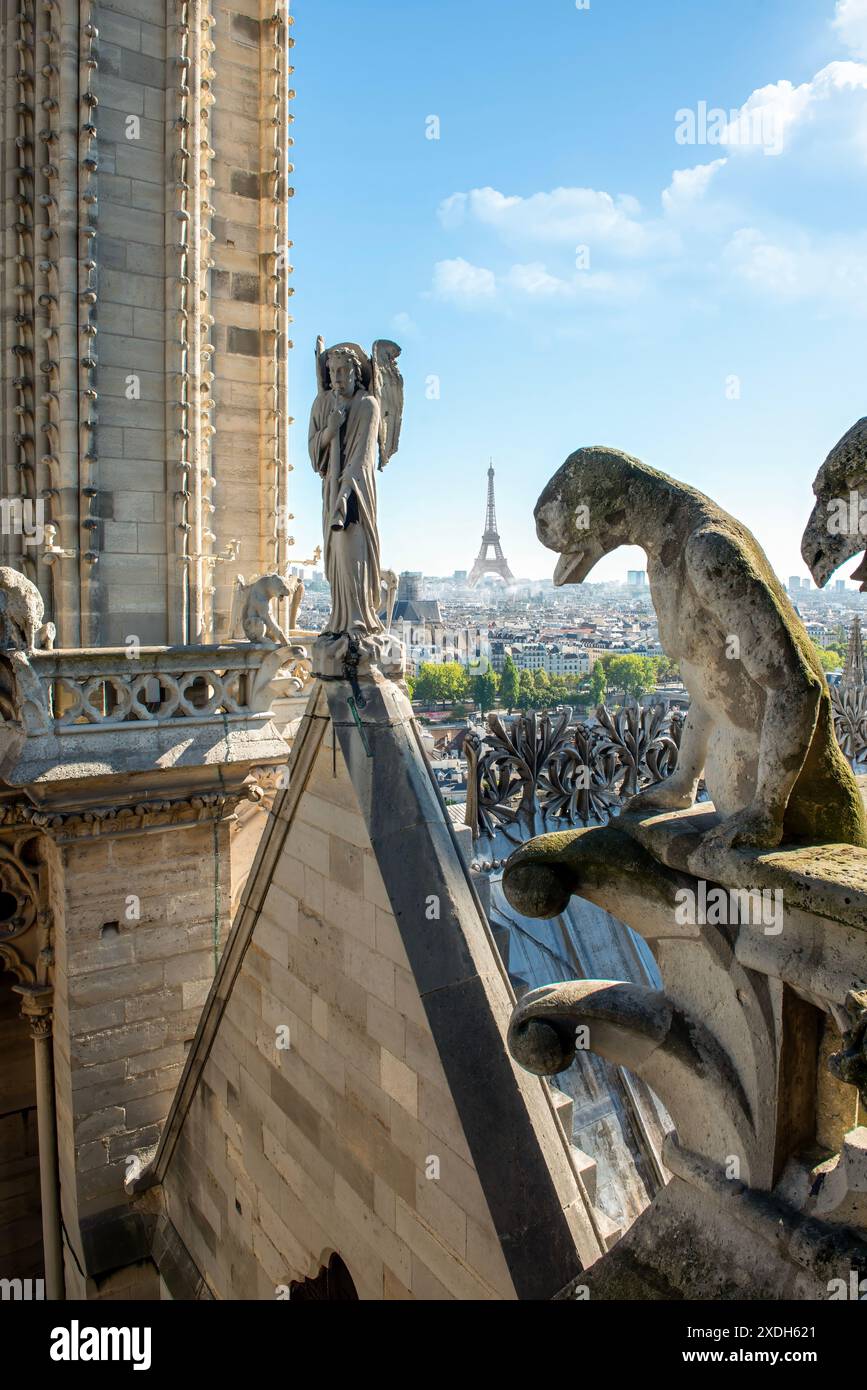 Statuen von Chimären auf Notre Dame de Paris, France Stockfoto