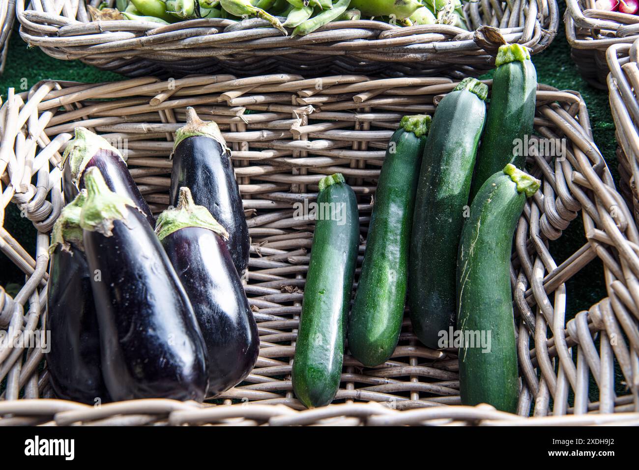 Violette Auberginen und grüne Zucchini in einem braunen Korb Stockfoto