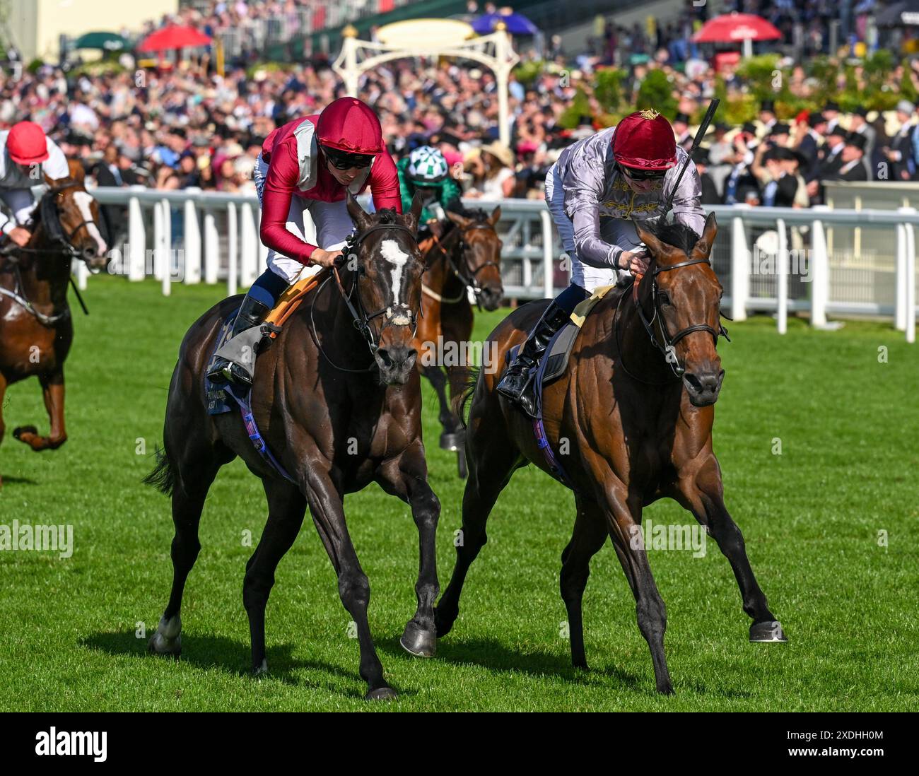 Hector Crouch auf Doha (rechts) schlägt Hector Crouch auf der Ascot 2024 Racecourse in Ascot, Ascot P, im Kensington Palace Stakes vor Stockfoto