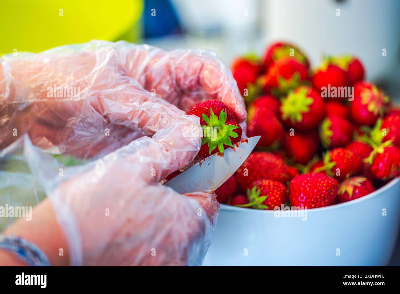 Nahaufnahme weiblicher Hände in Handschuhen, die Erdbeeren mit dem Messer reinigen. Stockfoto