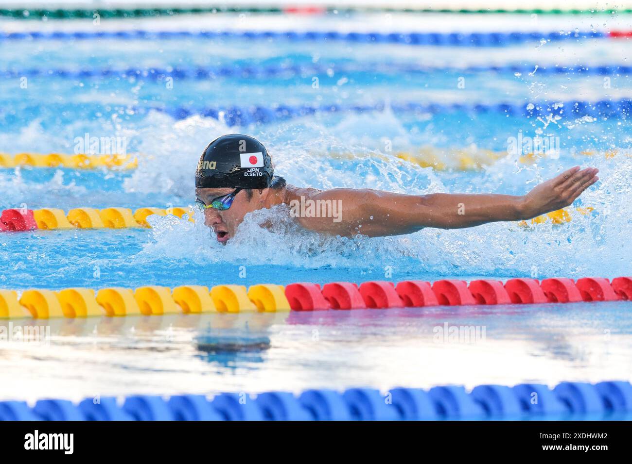 Rom, Italien. Juni 2024. Daiya Seto (JPN) während des 400-m-Einzelmedley-Finales der Männer beim 60. Internationalen Schwimmfinale von Settecolli in Rom - 22. Juni 2024. Quelle: SOPA Images Limited/Alamy Live News Stockfoto