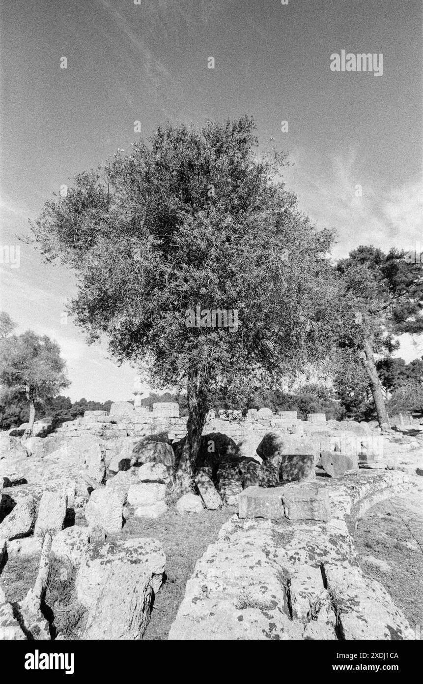 Tempel des Zeus, Olympia, Westpeloponnes, Griechenland Stockfoto