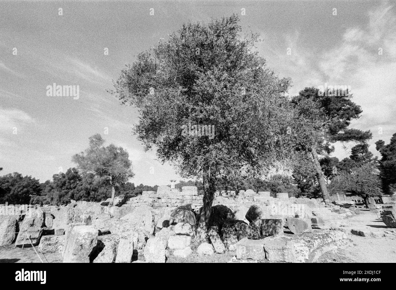 Tempel des Zeus, Olympia, Westpeloponnes, Griechenland Stockfoto