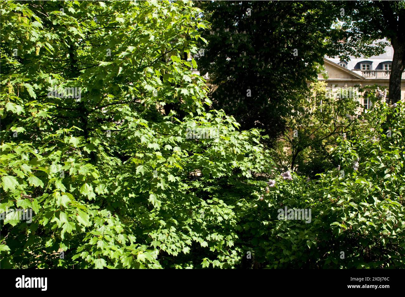 Ecole nationale supérieure des beaux-Arts de Paris, Batiments Stockfoto