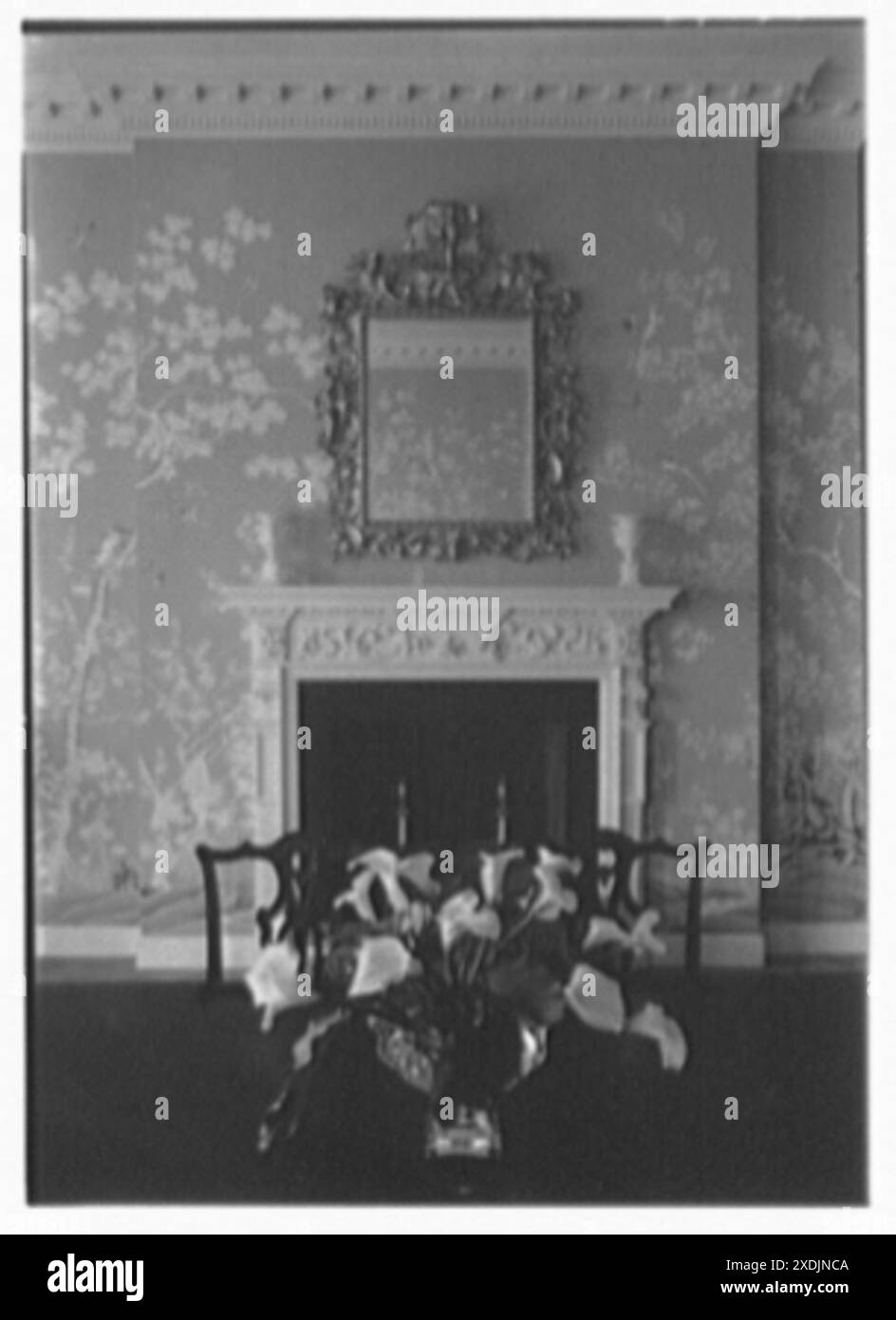 Mrs. Francis A. Shaughnessy, Residenz am Ocean Blvd., Palm Beach, Florida. Speisesaal III. Gottscho-Schleisner Sammlung Stockfoto