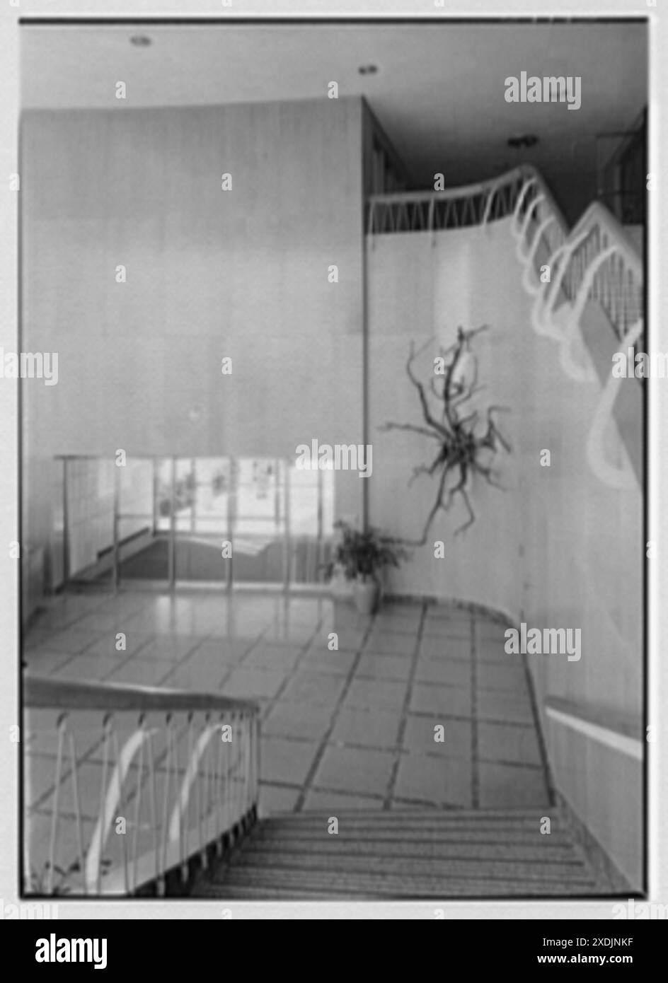 Johnson & Johnson, Metuchen, New Jersey. Unten, zum Foyer und Vorraum. Gottscho-Schleisner Kollektion Stockfoto