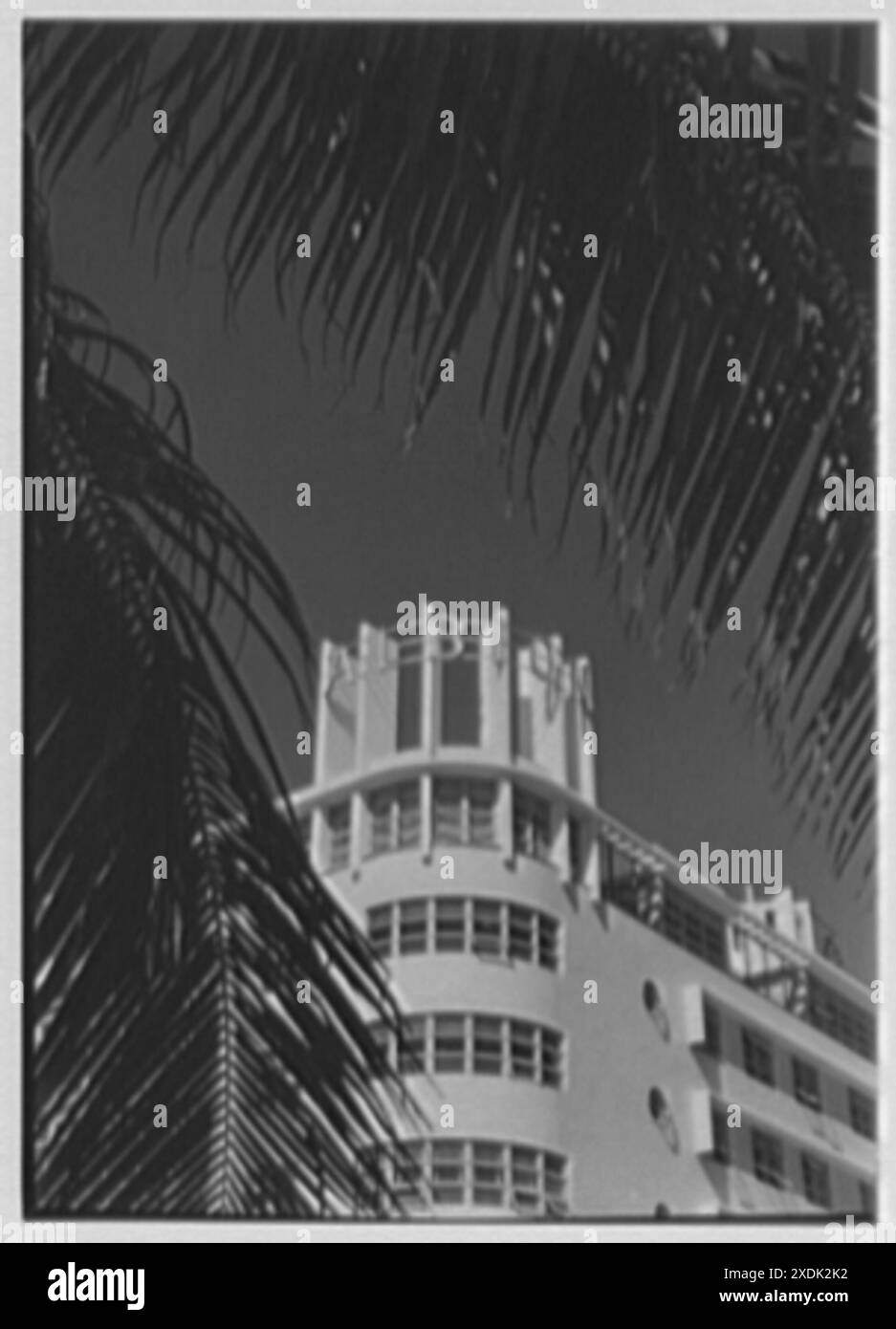 Albion Hotel, Lincoln Rd., Miami Beach, Florida. Turm durch Palme. Gottscho-Schleisner Kollektion Stockfoto