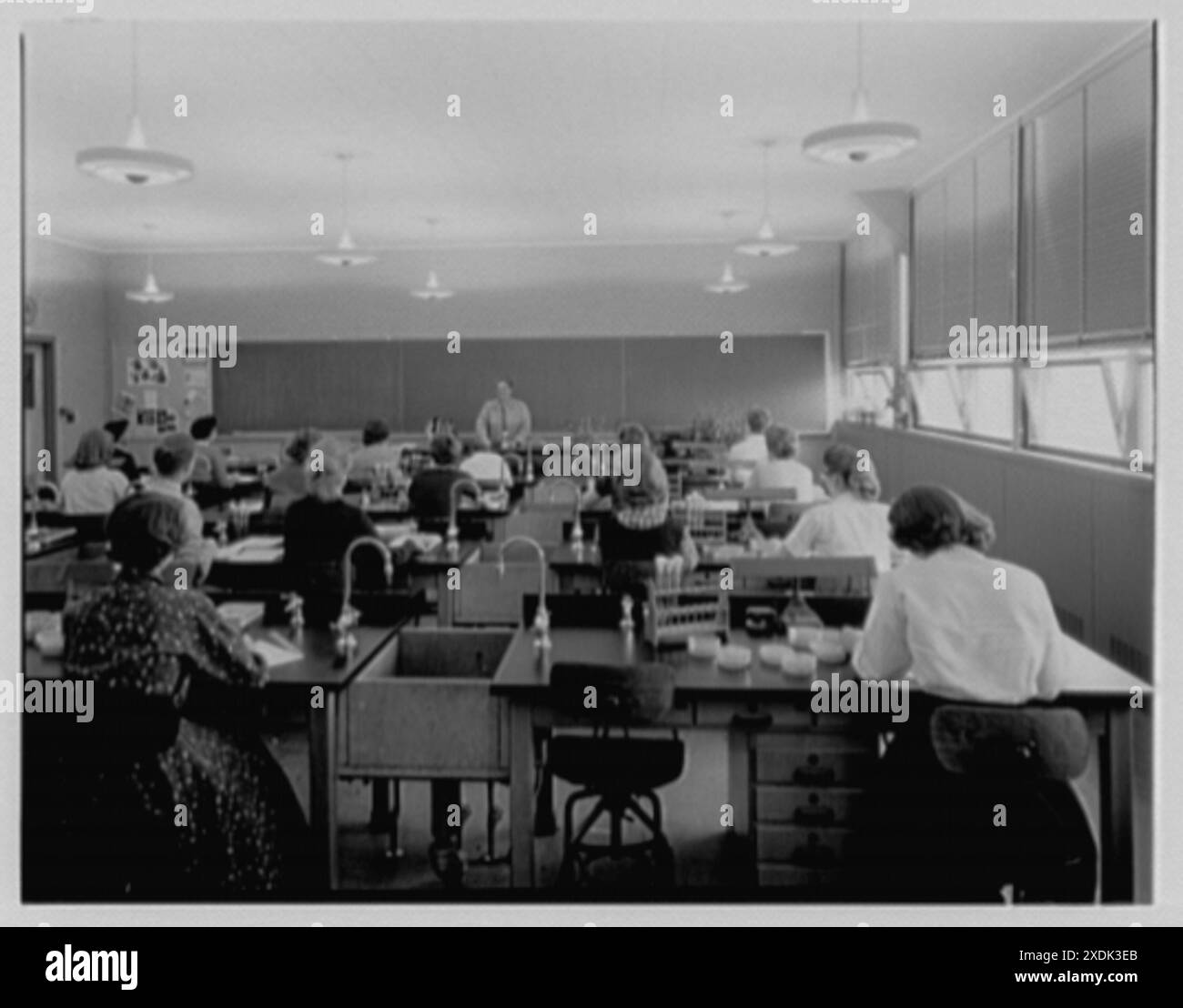 Montclair State College, Montclair, New Jersey. Botanik-Klasse. Gottscho-Schleisner Kollektion Stockfoto