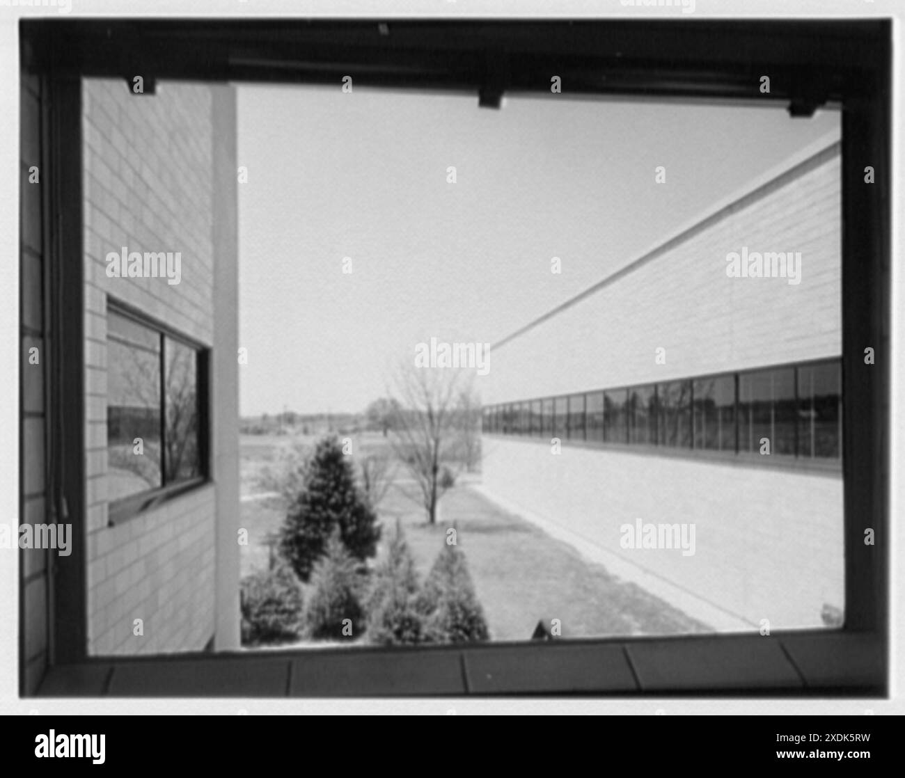 Johnson & Johnson, Research Center, New Brunswick, New Jersey. Ansicht durch Fenster. Gottscho-Schleisner Kollektion Stockfoto