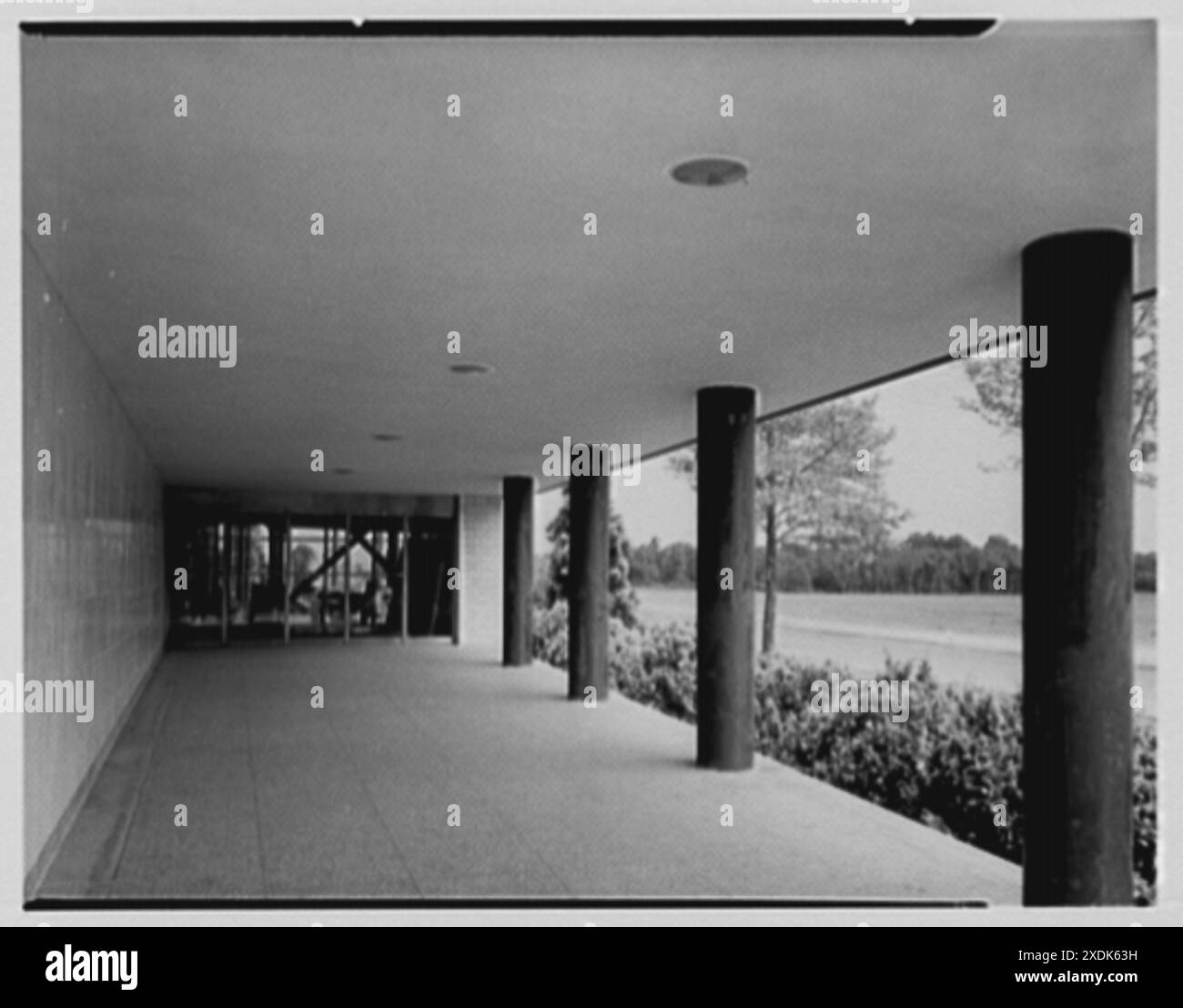 Johnson & Johnson, Metuchen, New Jersey. Säulen. Gottscho-Schleisner Kollektion Stockfoto