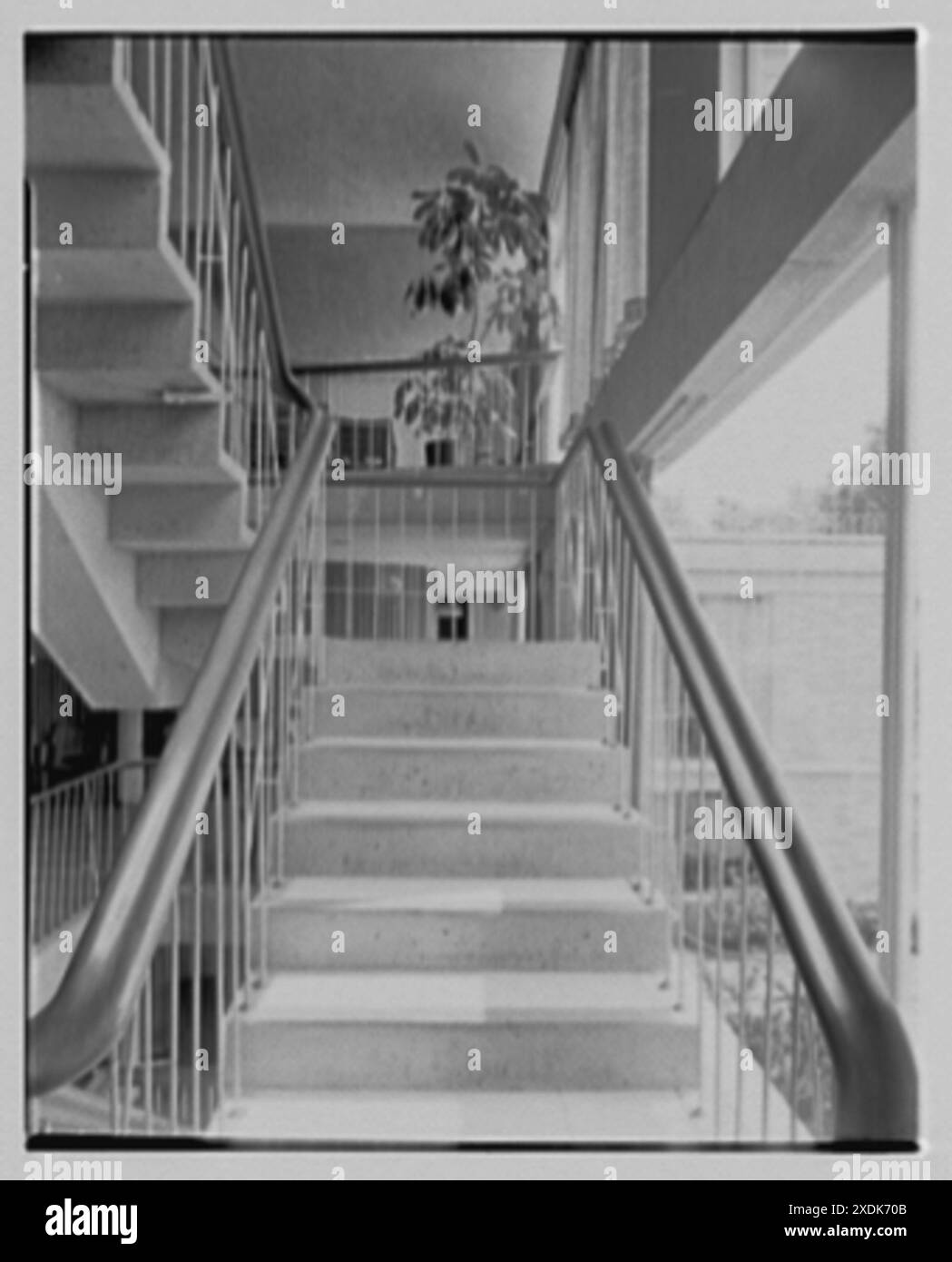 Central Nassau Medical Group, 226 Clinton St., Hempstead, New York. Treppendetail. Gottscho-Schleisner Kollektion Stockfoto