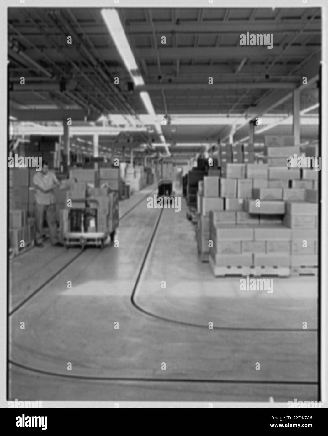 Johnson & Johnson, Metuchen, New Jersey. Innere I. Sammlung Gottscho-Schleisner Stockfoto