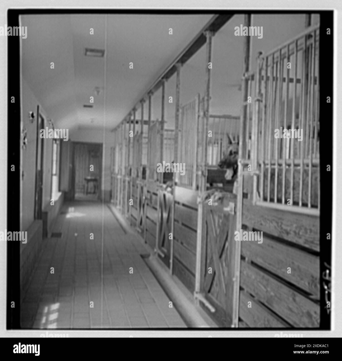 Charles S. Brown, Wohnsitz am Oneida Lake, New York. Zwinger, zu Buden. Gottscho-Schleisner Kollektion Stockfoto