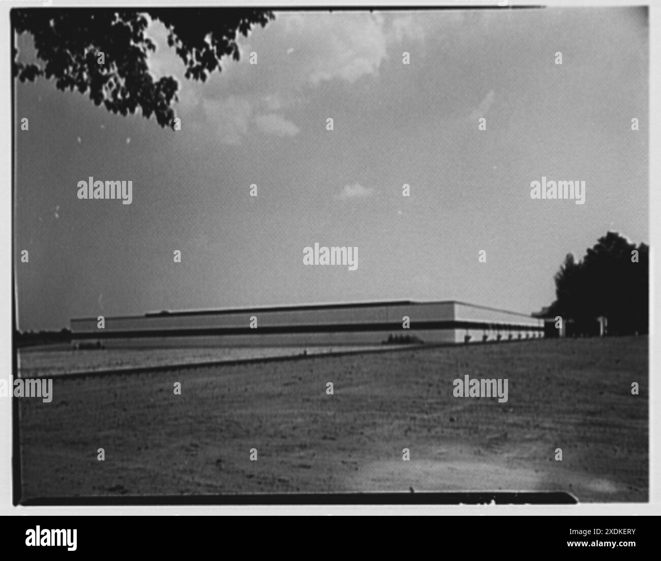 Johnson & Johnson, Metuchen, New Jersey. Blick auf die Rückseite des Gebäudes. Gottscho-Schleisner Kollektion Stockfoto