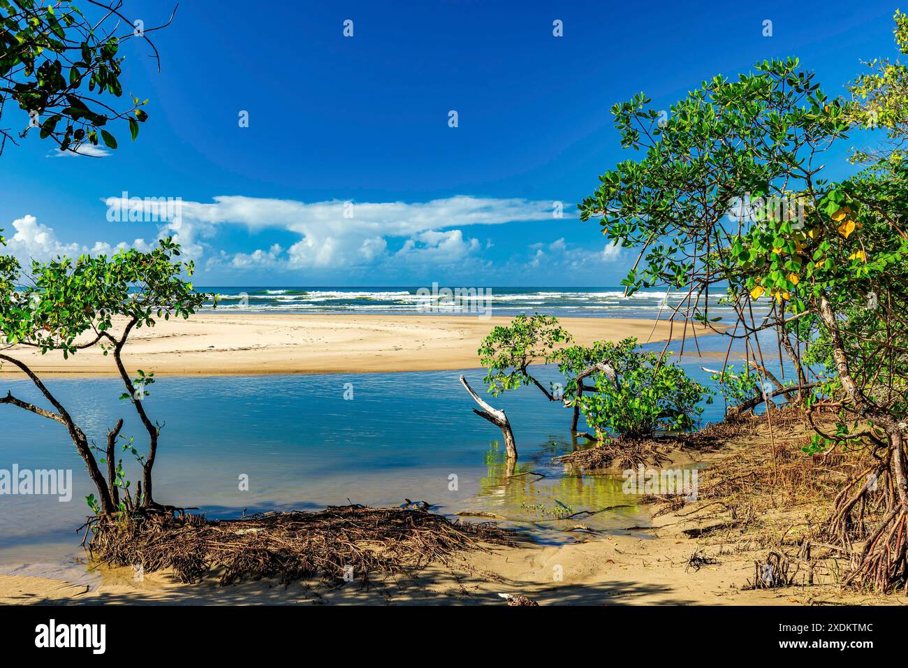 Treffen zwischen Mangroven, Fluss und Meer am Sargi Beach in Serra Grande an der Südküste von Bahia, Sargi Beach, Serra Grande, Bahia, Brasilien Stockfoto