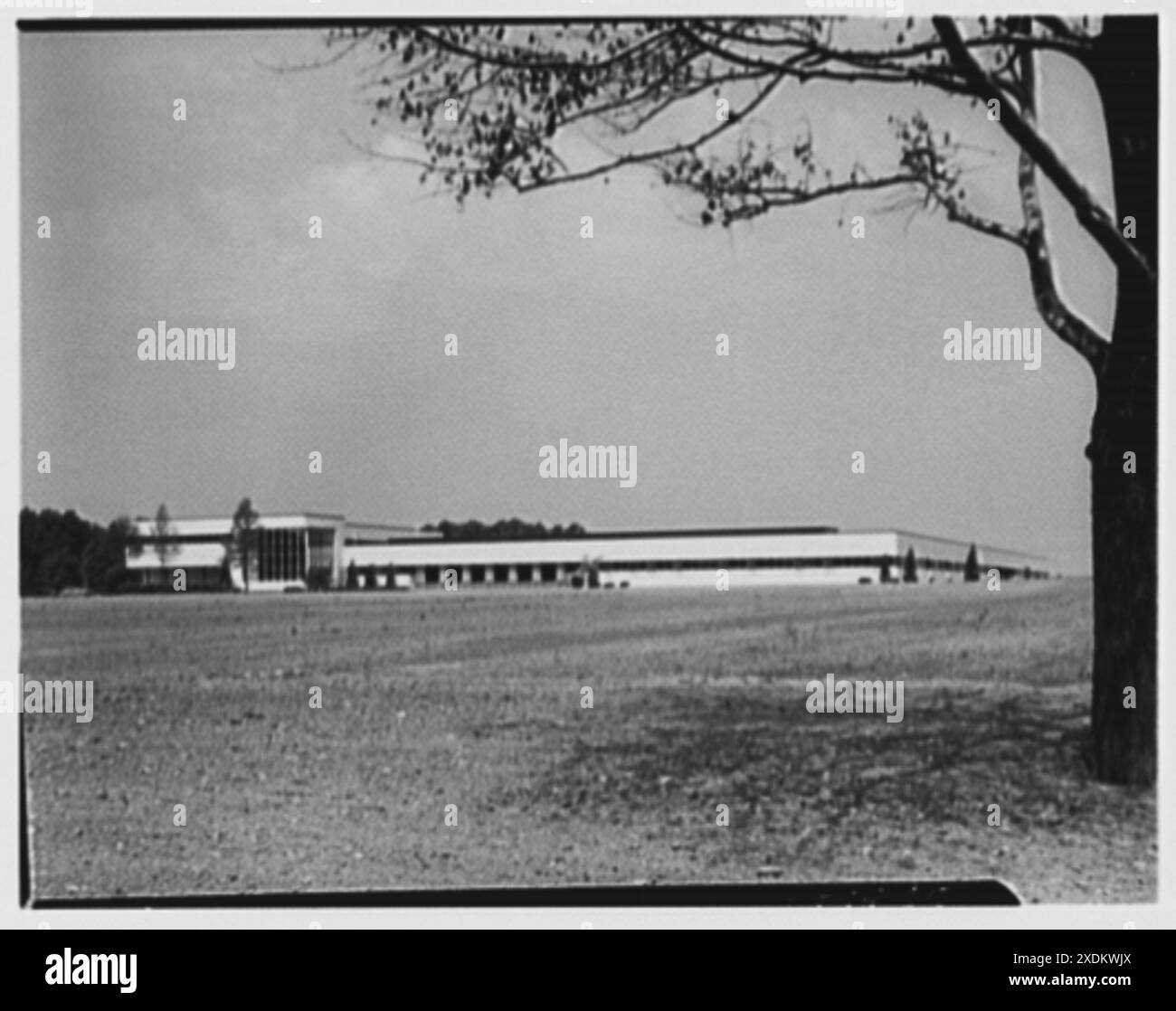 Johnson & Johnson, Metuchen, New Jersey. Allgemeine Ansicht von außen. Gottscho-Schleisner Kollektion Stockfoto