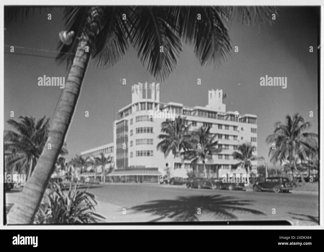 Albion Hotel, Lincoln Rd., Miami Beach, Florida. Allgemeines Äußere, von Palmen eingerahmt. Gottscho-Schleisner Kollektion Stockfoto