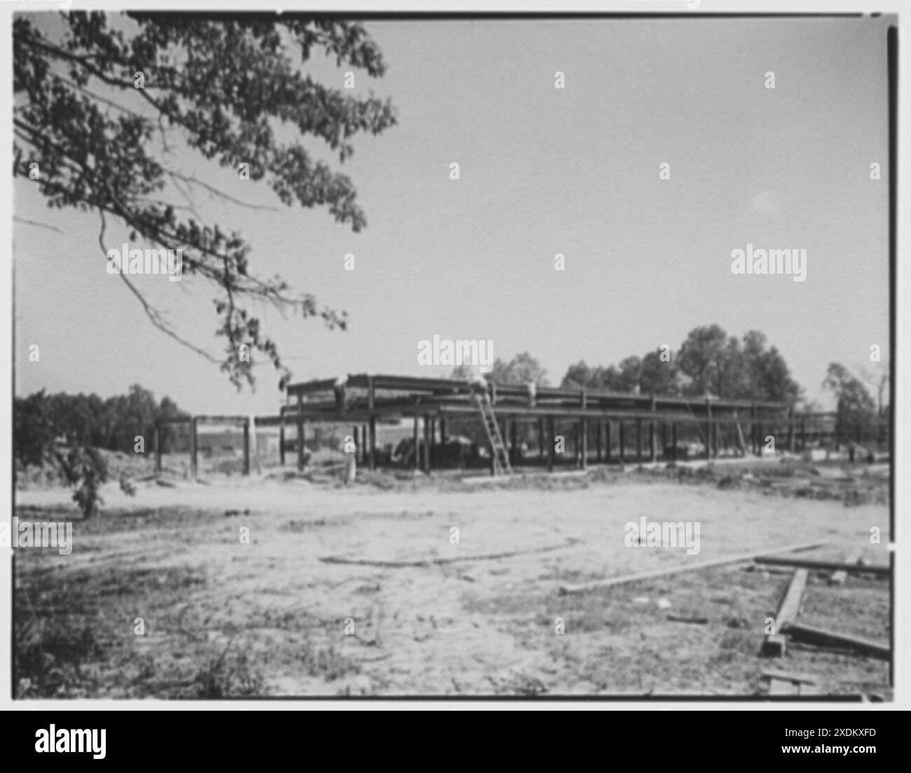 Johnson & Johnson, New Brunswick, New Jersey. Cafeteria-Bau. Gottscho-Schleisner Kollektion Stockfoto