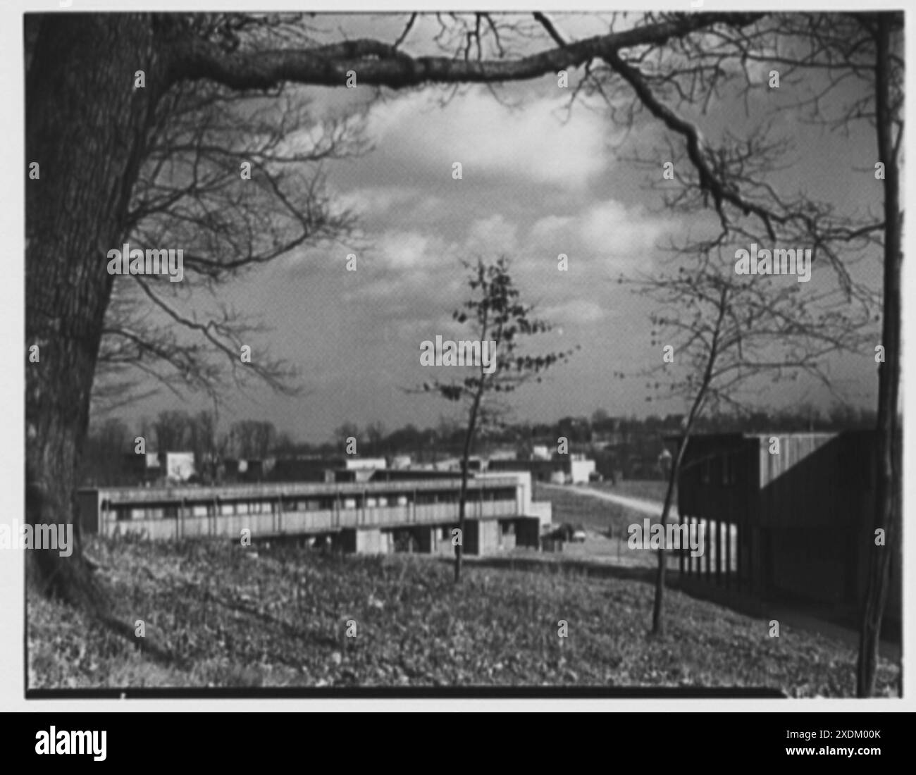 Aluminium City Terrace, New Kensington, Pennsylvania. Allgemeine Ansicht eingerahmt von Baum. Gottscho-Schleisner Kollektion Stockfoto