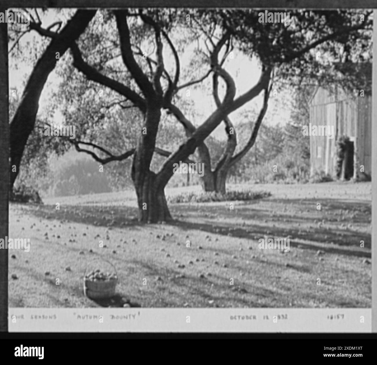 71 Jahre, oder, mein Leben mit Fotografie. Four Seasons, Herbstprämie, 12. Oktober 1932, Four Seasons, Herbstprämie. Mein Leben mit Fotografie... Gottscho-Schleisner Kollektion Stockfoto