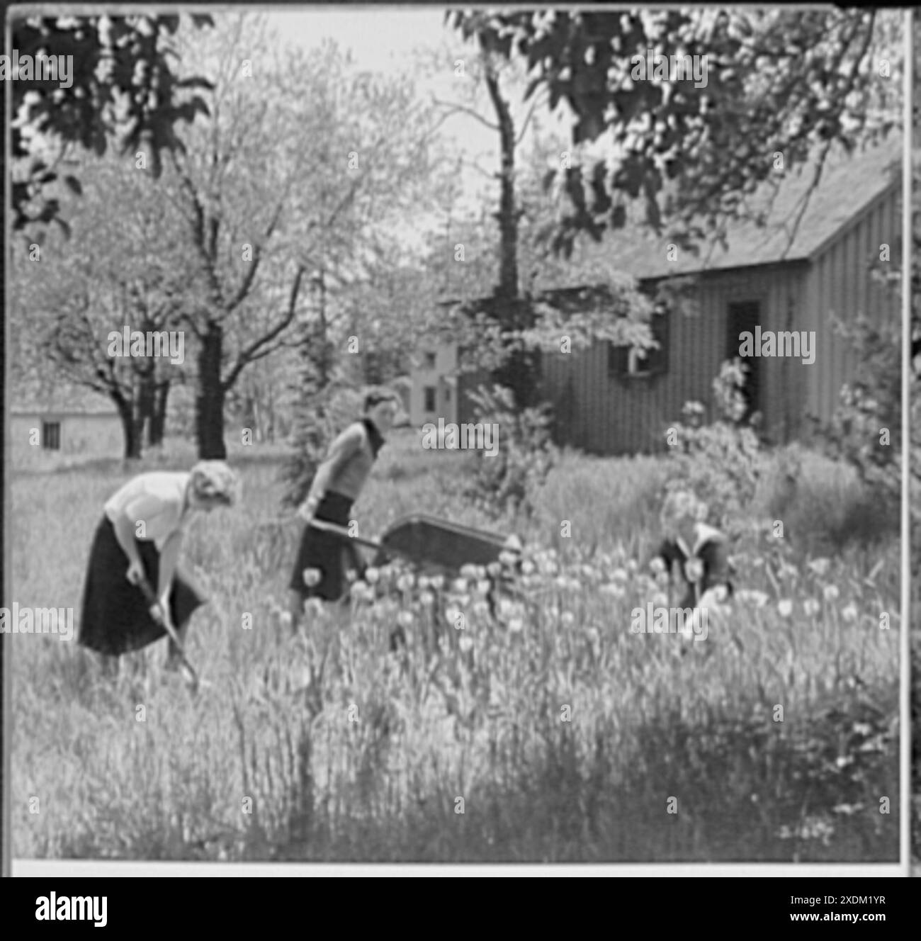 Schulen. Masters School, Gartengruppe, Masters School, Gartengruppe... Gottscho-Schleisner Kollektion Stockfoto